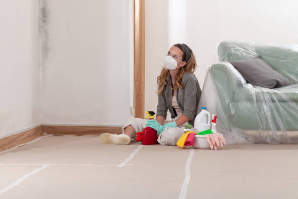 Reliable Mold Cleanup contractor in Rockford, MI by Cheap Mold Removal